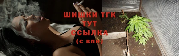 ALPHA PVP Остров