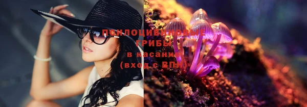 мяу мяу мука Осинники