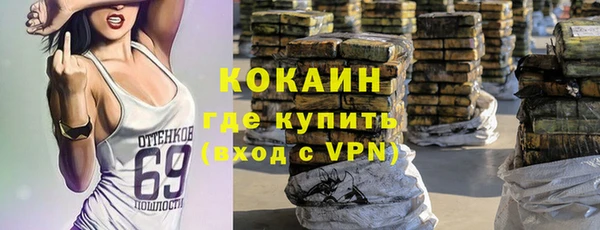 ALPHA PVP Остров