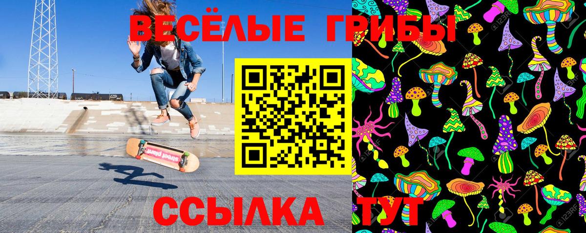Псилоцибиновые грибы Psilocybe  Вход с VPN  Саки 