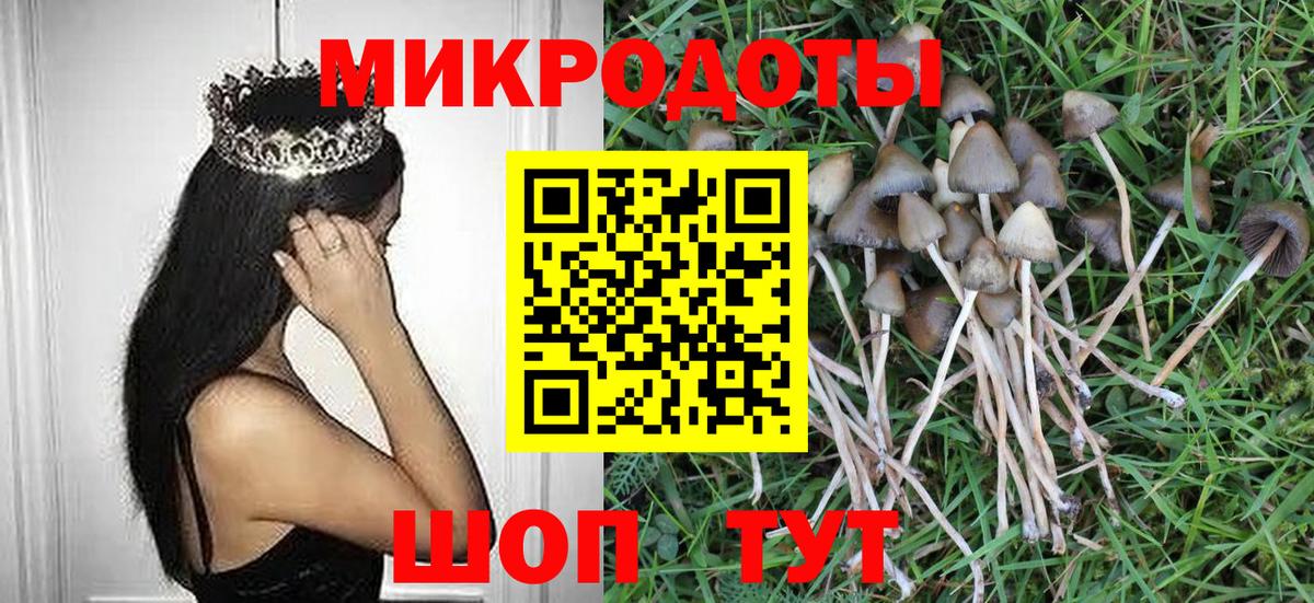 Галлюциногенные грибы Psilocybine cubensis Саки